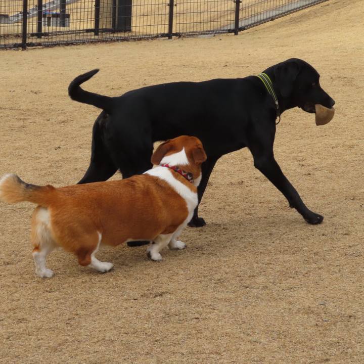 B9114e79 6120 4868 ba51 16338673b1e2 1676865693424