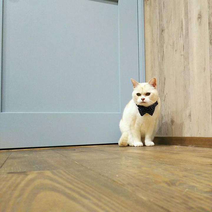 B91156ac e0a2 45dc 8d7e 0cc42116c63f 1543937290108