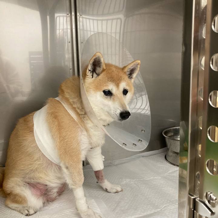 B9115c90 e8d6 4751 a62d 491723d11af0 1637327743547