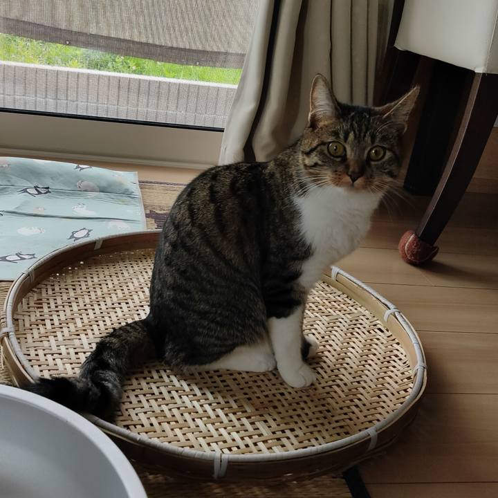 B9115d46 7234 4ff6 aead 1b6630476764 1658120901174