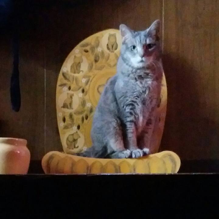 B91163ad 071a 452c b7cb 98ba471c493f 1595809964661