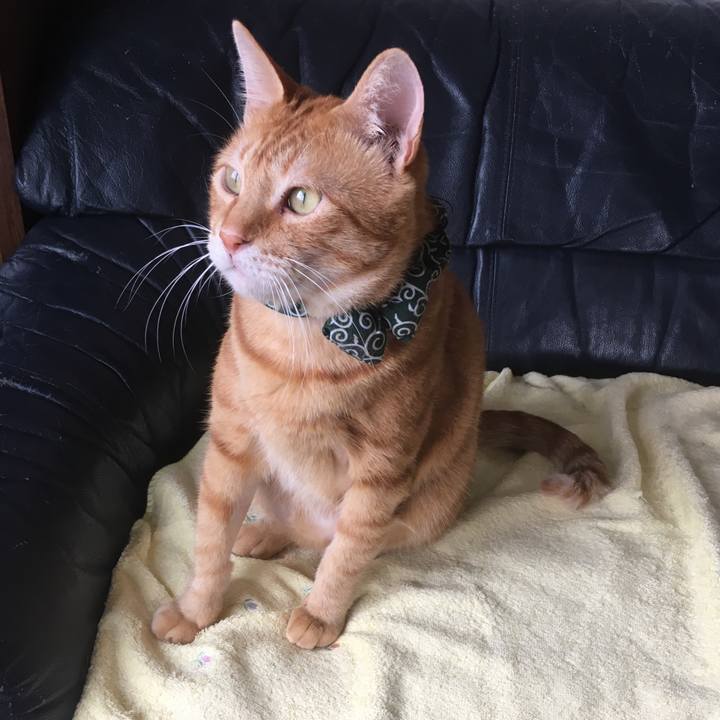 B9117ee0 f3ab 4c2a 8717 eb5473c89423 1537077547003