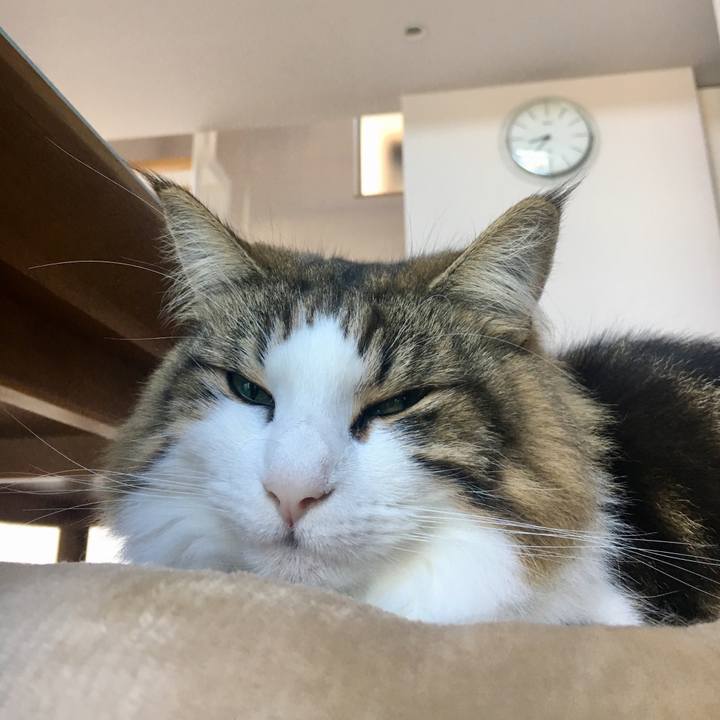 B911ad52 6117 457f 94f0 91b591811905 1542239001393