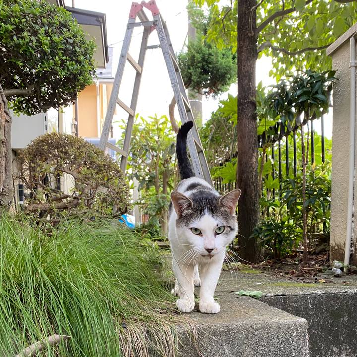 B91202a0 f2f0 4133 a147 477458726810 1593530017489