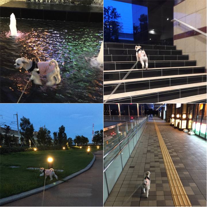 B9122e50 d219 437a 82f7 4c4a7bbacffc 1534244120454