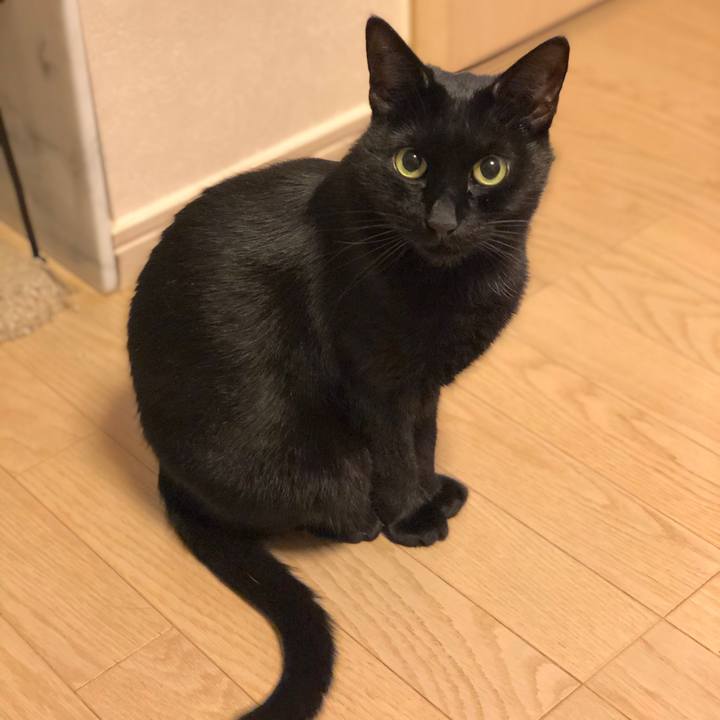 B91241f1 da3d 4482 b18a ed8c1bbc7ce8 1574256075556