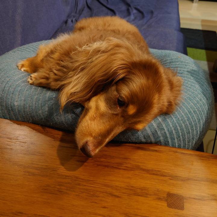 B91257a1 3c2a 4d70 8ce4 52e2fd6c49d6 1693927177050