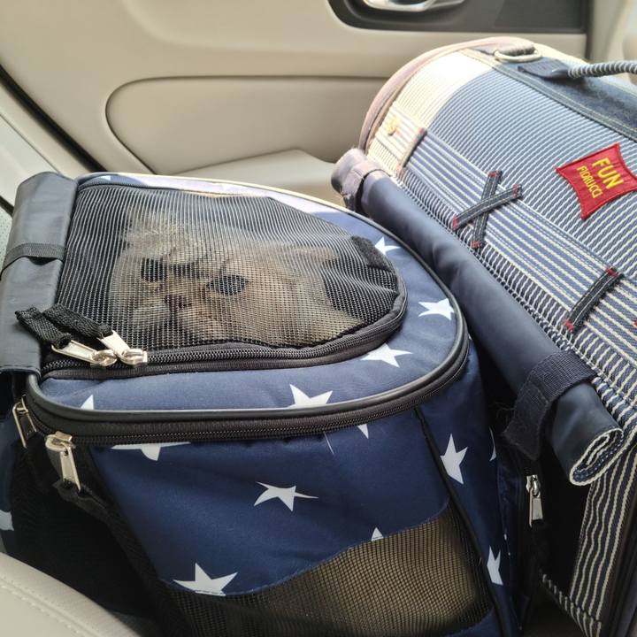 B91283cb 267f 40b8 be6f edb7c06a062f 1656902856999