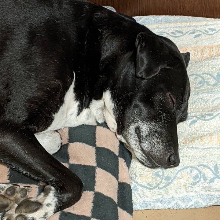 B91288c2 dfa2 457c 8fa0 77da0f0fd051 1707005683860