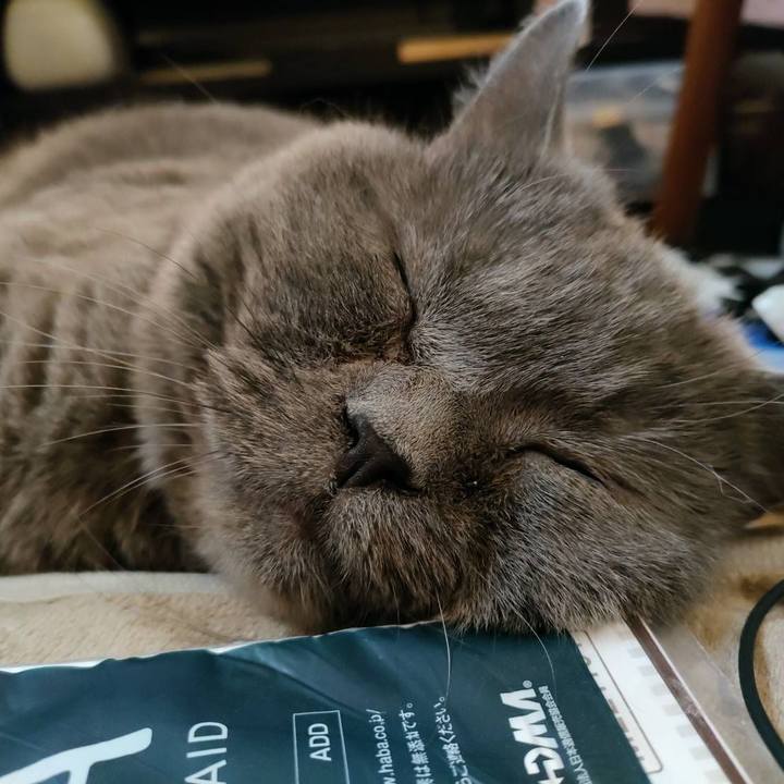 B9129e32 f7e6 4ea5 b2c2 20e5fd2d4fb2 1667793344871