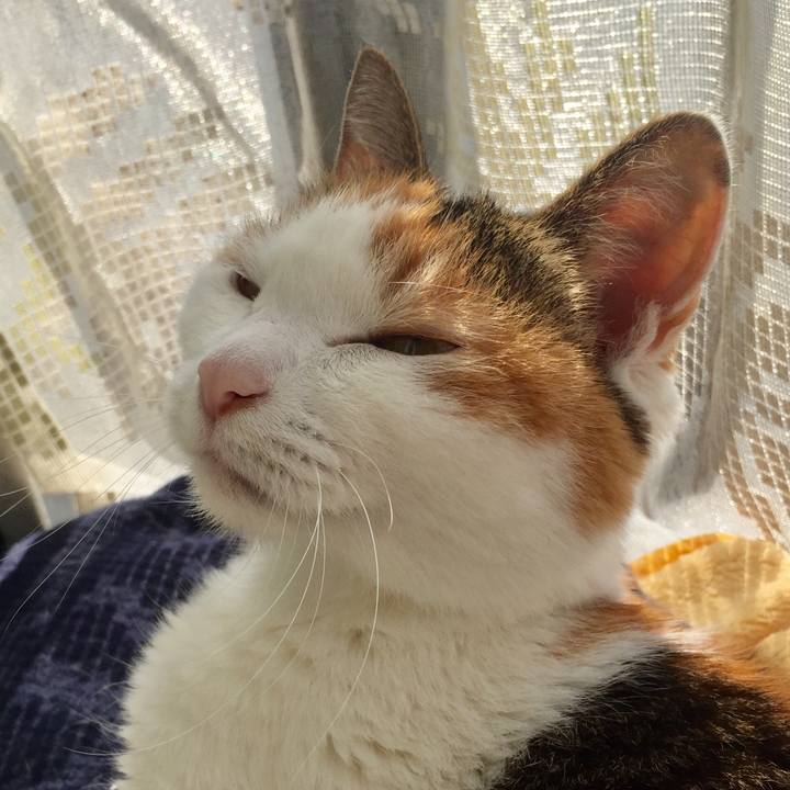 B912cebe 4064 4961 be2c 51c9cecdd773 1586399228121