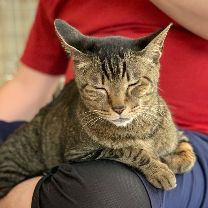 B912f44a 9b1a 4674 8e13 d89cde5f0ae6 1591233997993