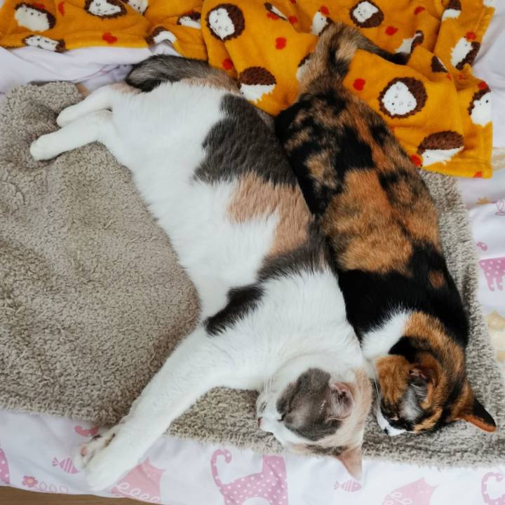 B912f974 bc27 42e6 afce ae72563301f1 1652070029866