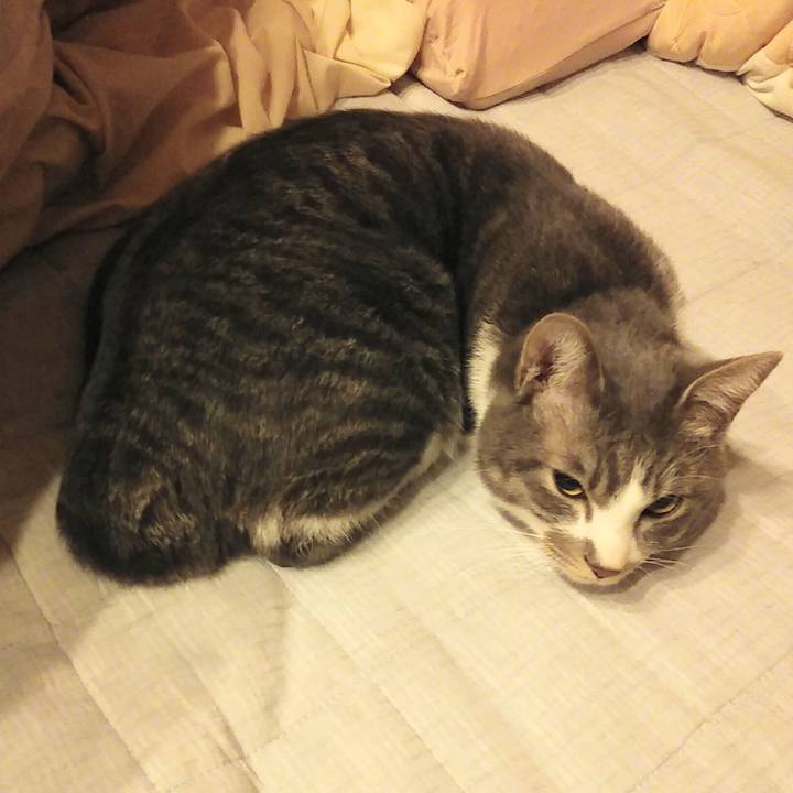 B9130a17 c854 4b56 a7e8 bf149657f011 1586087332190