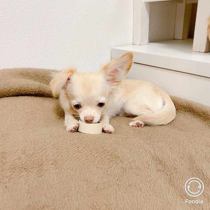 B9134298 9f4e 491e 9cb7 71e09c444caf 1601777848447