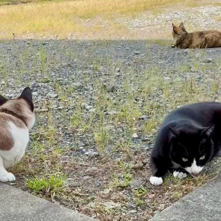 B9134e93 5bd0 44a1 908d f0fd80dbe071 1748778634827