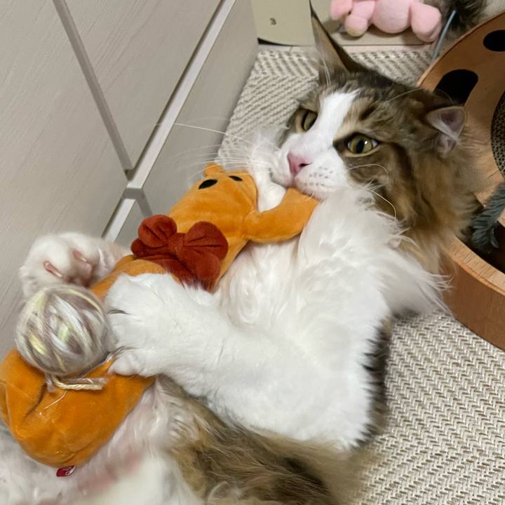 B9135ffe f4af 402b a6d5 69e84f3be24d 1655899015141