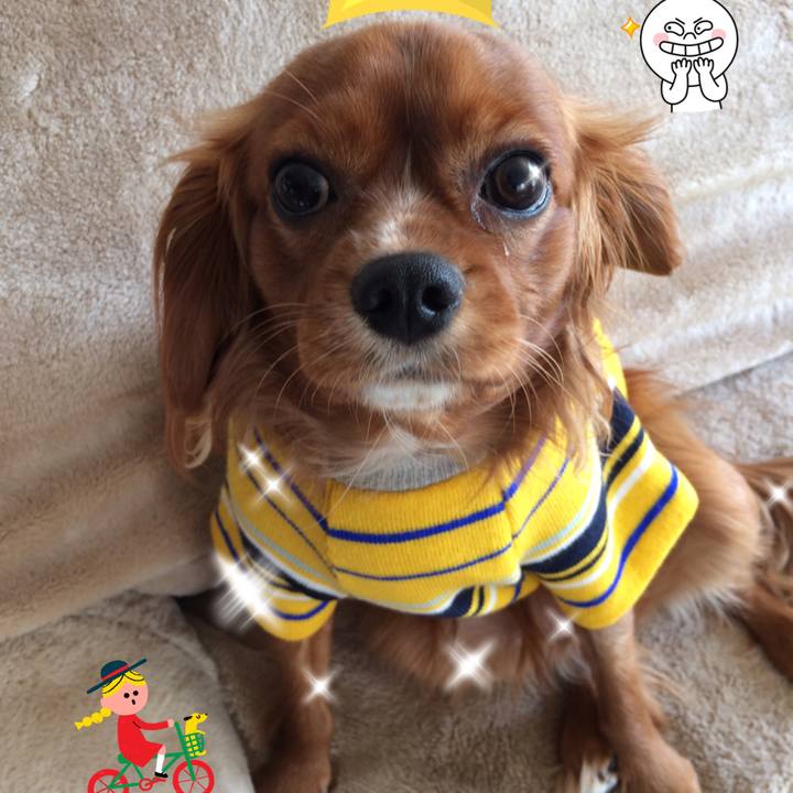 B9138540 46c0 476e 93f1 fe3cc1bfed52 1514411806819