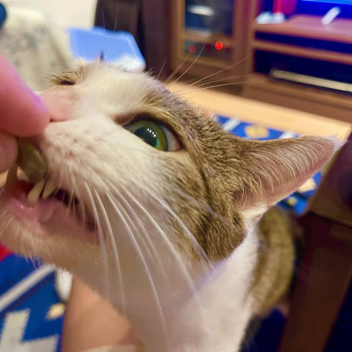 B913916d 3615 4b0d 8870 32baaf0226b2 1729953224501