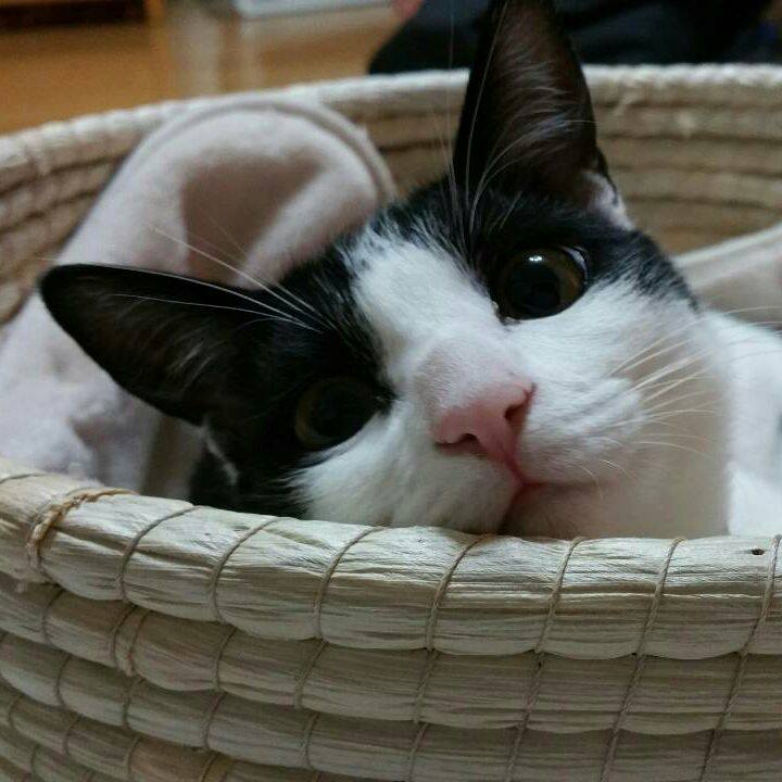 B913bc21 ffe2 42eb b528 7692d96f8eca 1513479371257