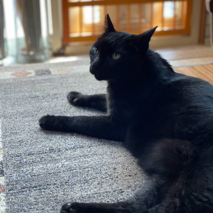 B91428a9 d314 4df0 b5cb 6ce4a5eccf6a 1662258774633