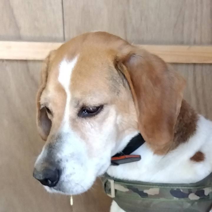 B9143fd4 090a 4dcb 815d a82e8250060a 1685096047295