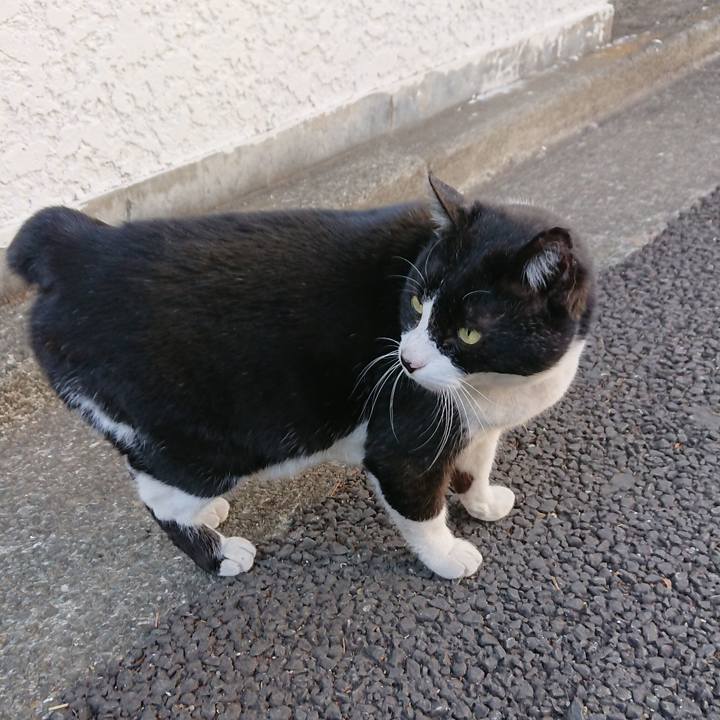 B9149207 b58b 43d0 bc34 908b09fdc928 1549087068161