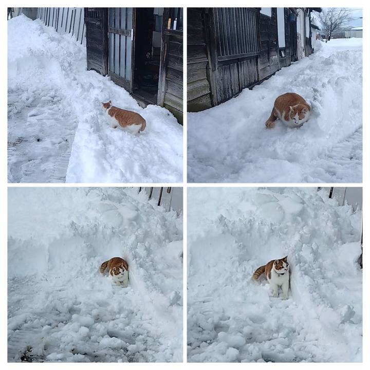 B9149e96 fb2c 4600 b488 56a9841bd391 1767942576644