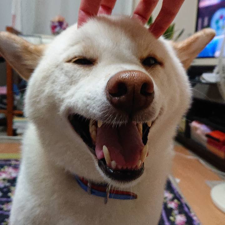 B914a259 fc8e 487e a0cf 4e06167294a9 1566994746122