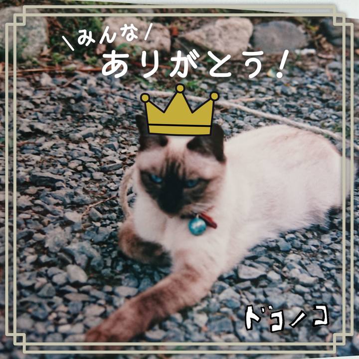 B914ac09 8c50 4ceb 9543 5fbe9a1abe81 1622888883816