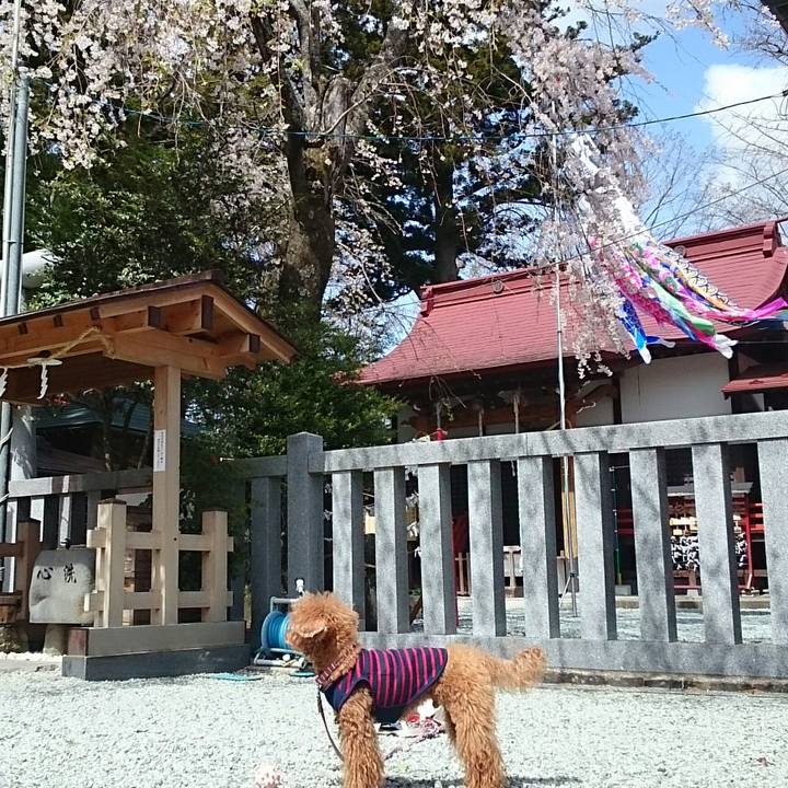 B914c27f 7e8a 4a5f b911 9accba8ce33f 1524000697376