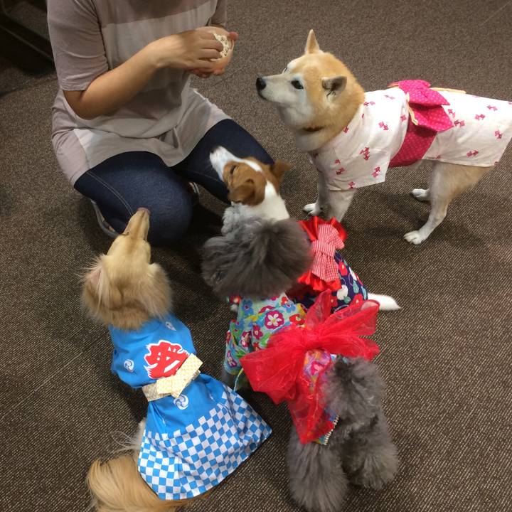 B914c790 57f6 4bbf a14b c60c7fb0423e 1564924835147