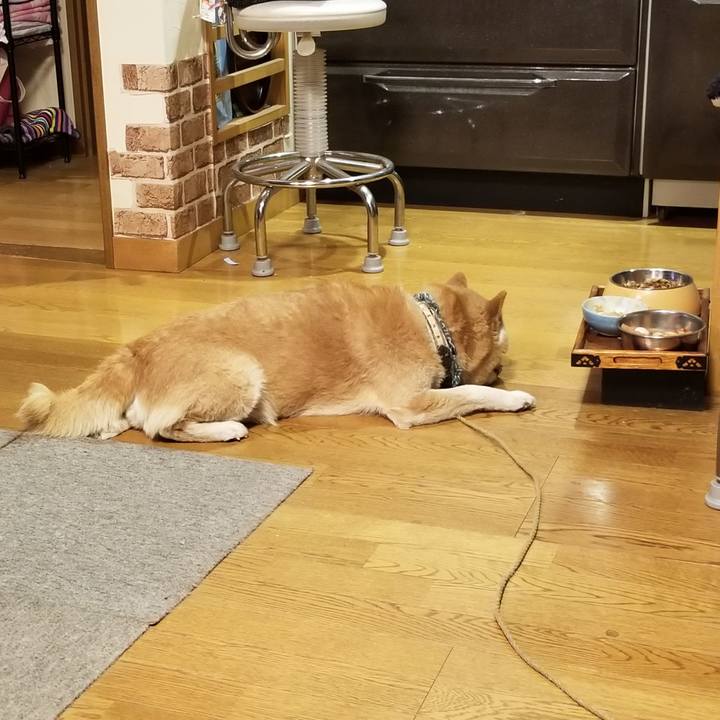 B914cf90 53fc 4d74 89a6 7a2d875c3a06 1706777611399