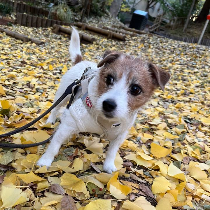 B914cf97 4e98 4308 9638 8e140bfb274e 1730952306086