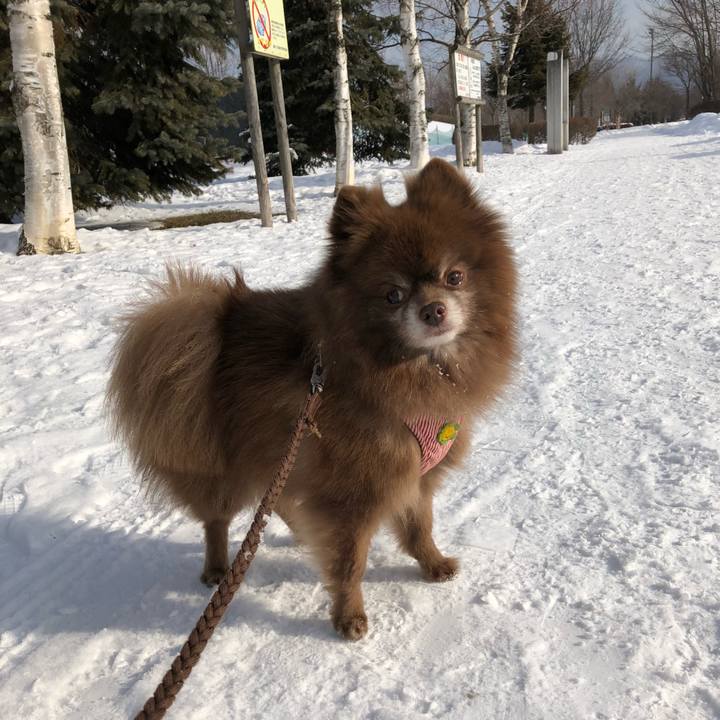 B914fe5f 9100 4228 b97d dc9ee6ddbe57 1550191525134