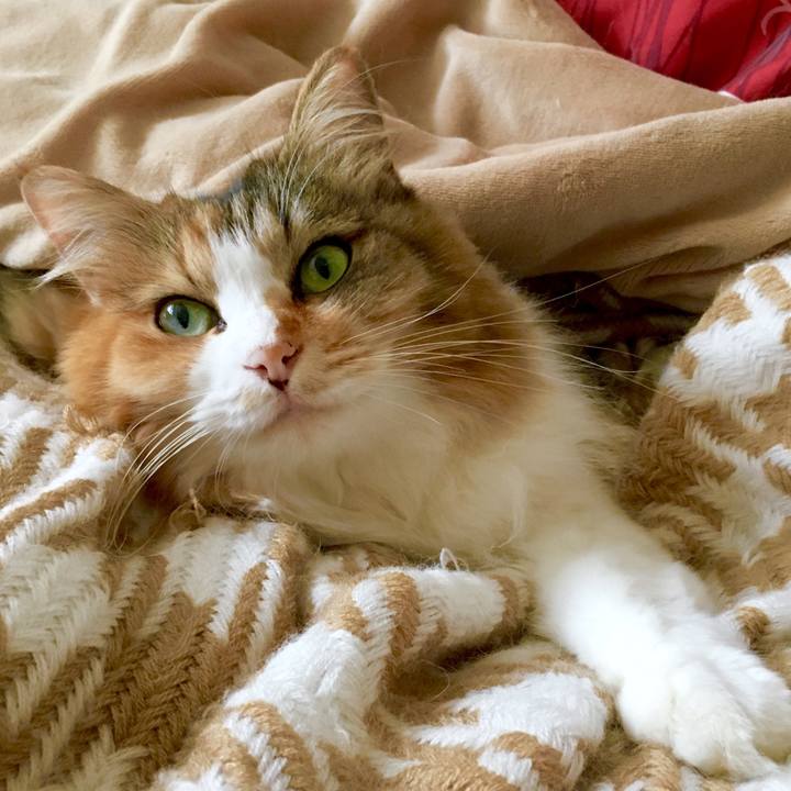 B9152715 132c 4071 a307 bd8fb68f775f 1570418943343