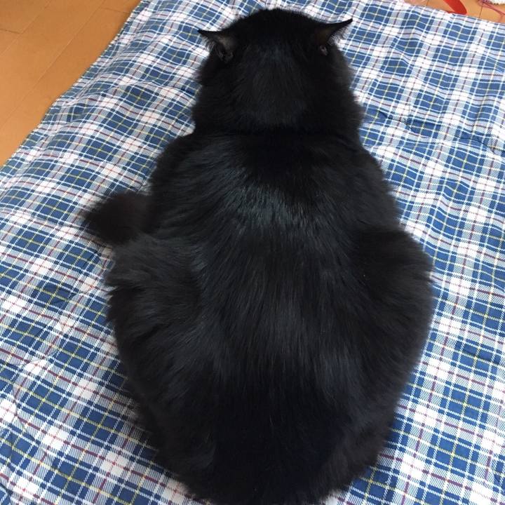 B9154546 825e 456d bd0d 440811626934 1513637901638