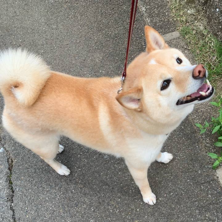 B915c17d c35d 43e5 9a42 e18f9a20ec6c 1653516323682