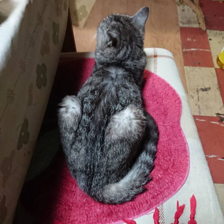 B915f1a6 674a 495e 9674 6f772f635cdd 1566644785454