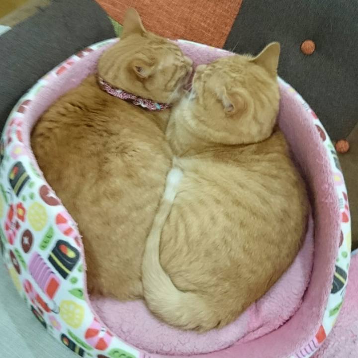 B915f2bf 077a 4a6e b9b6 0dcaacd6339d 1559895310916