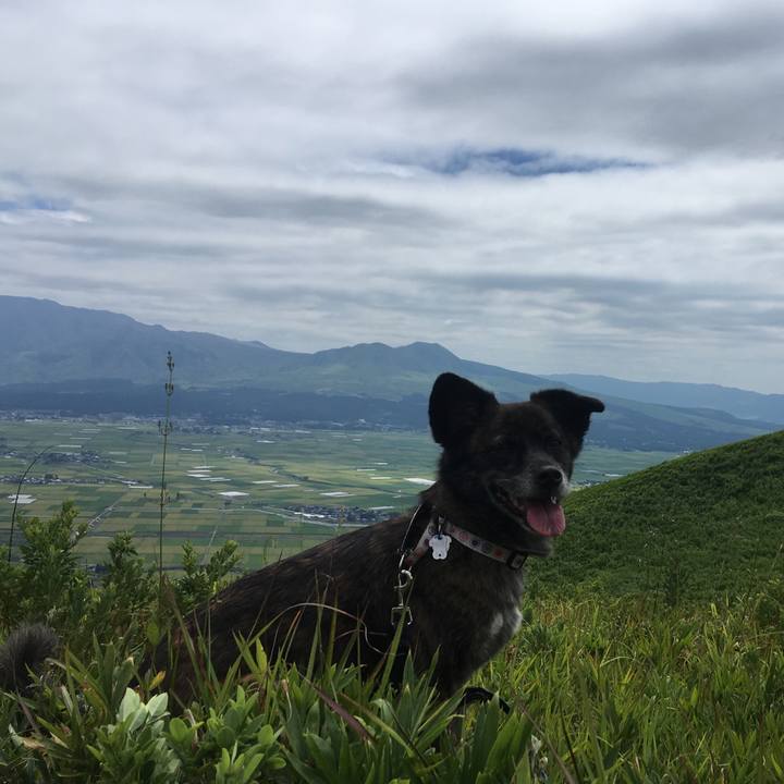 B9161536 b644 41ae 8afd 49a9143e5d36 1535286540972