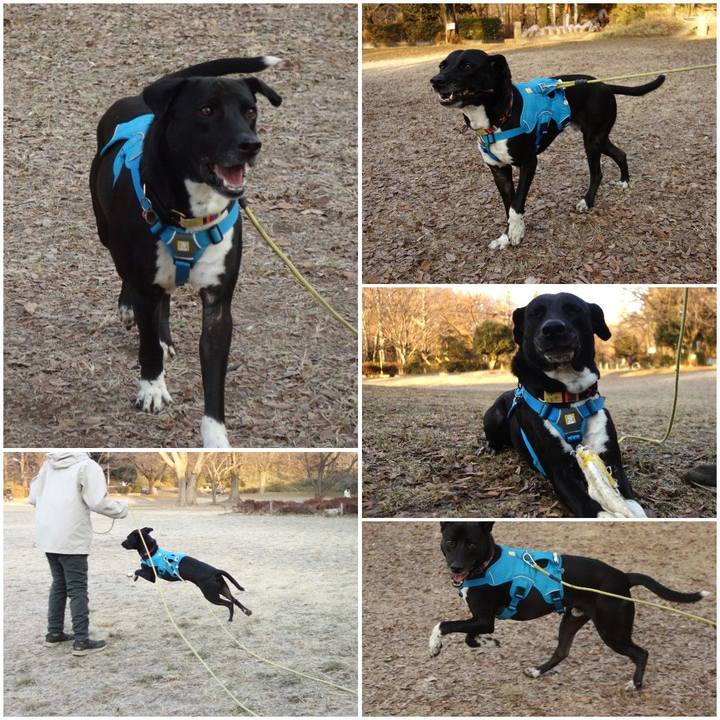 B9162caf e52d 4bf5 b598 71b7919fb4c1 1611274996702