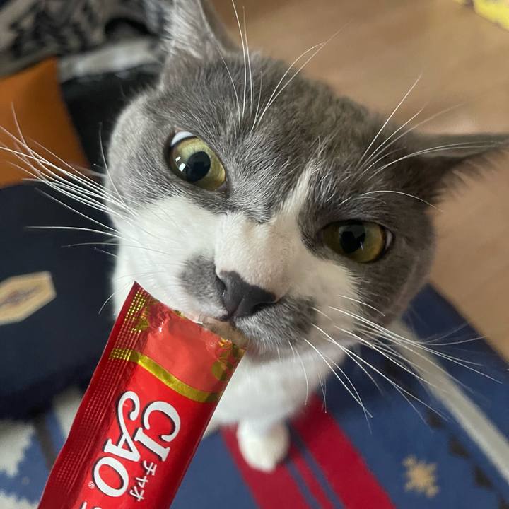 B916398a 84ed 4033 9167 7c49bb422db5 1690267117809