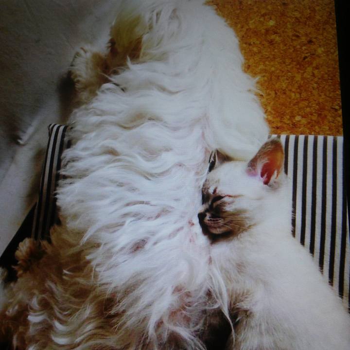 B9165b73 55ca 4036 8ef2 94e6f4a53acd 1535358497626