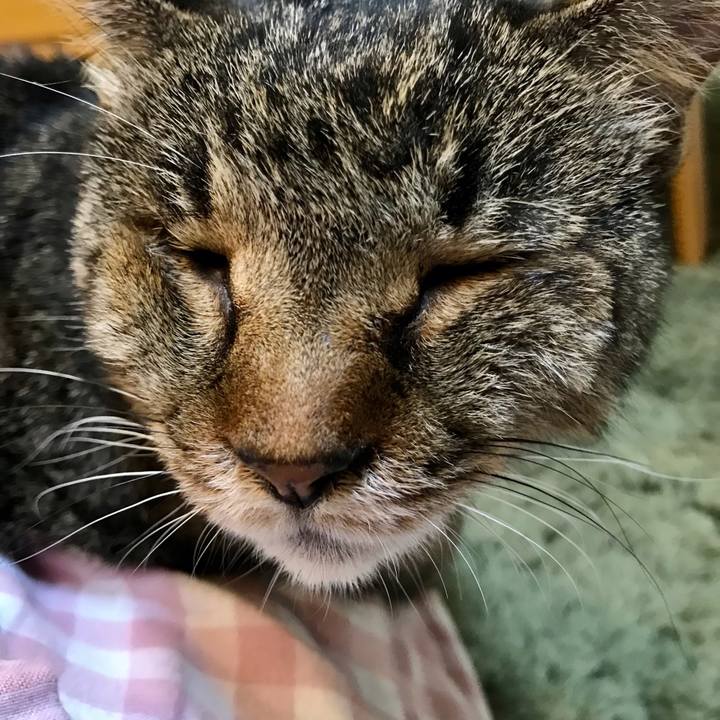 B91674b3 48f4 41fb afeb 95d492e5c10e 1630652862045