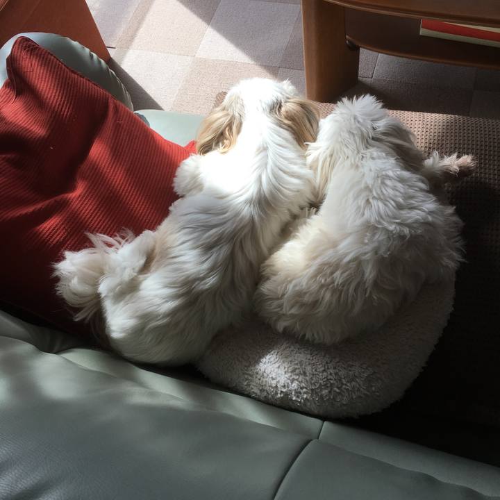 B916b313 e1d0 41a2 b153 48f78b32b47a 1520053129978