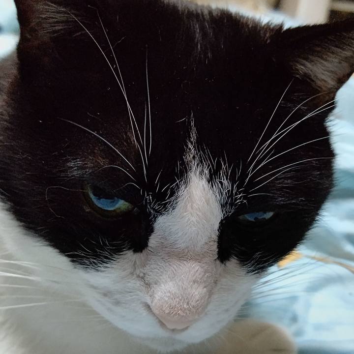 B916bb80 92d6 432f 9908 00f2aa5f754c 1637185720708