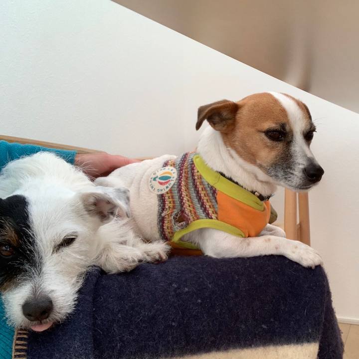 B916bd11 60eb 4fb2 b1be d4d119c79c60 1546839035446