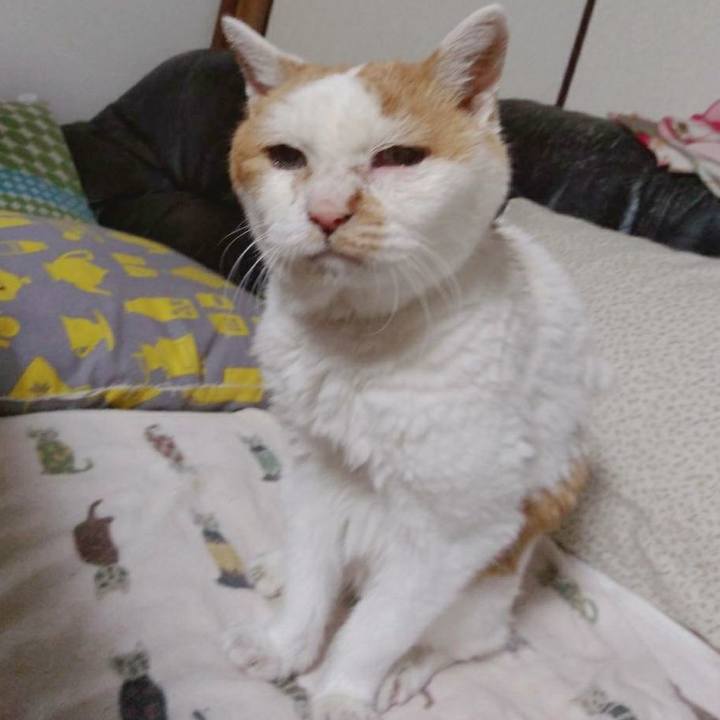 B916d7bf 8588 4f9d b82c e4666e17bf1c 1595504335502