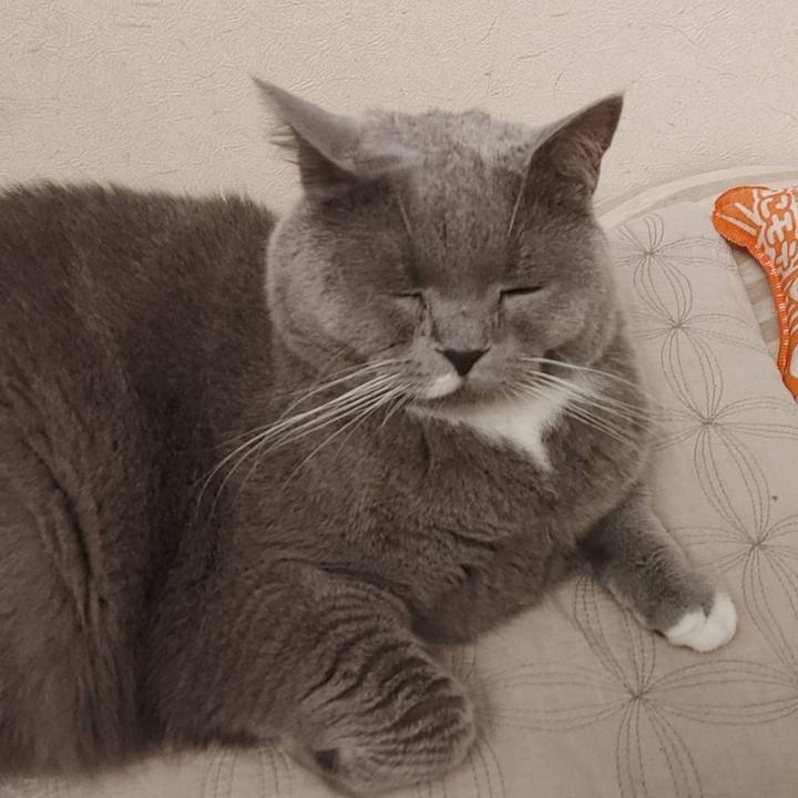 B916d853 657f 46a8 9d7e 15e1925c8180 1621637963672